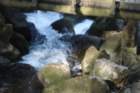 tribergerwasserflle21407017_small.jpg