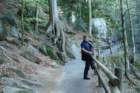 tribergerwasserflle21407023_small.jpg