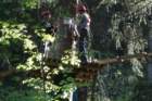 tribergerwasserflle21407025_small.jpg